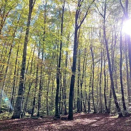 Apartmán Natura Amb Calma *